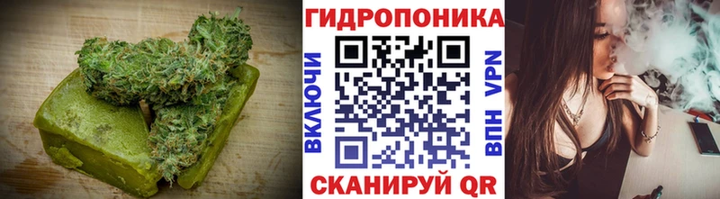 Canna-Cookies марихуана Полярные Зори