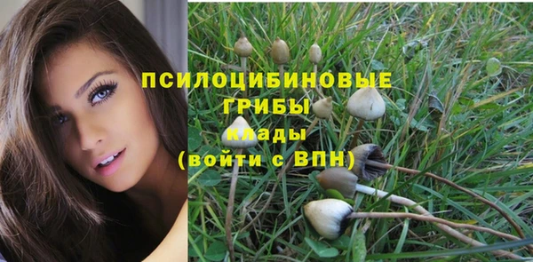мескалин Алексин