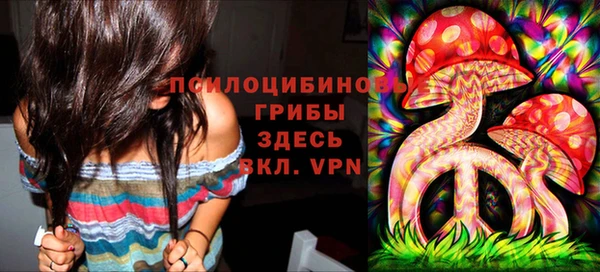 мескалин Алексин