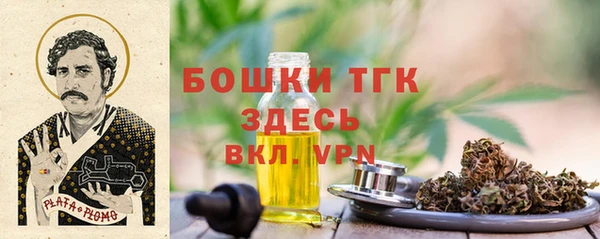 стаф Алексеевка